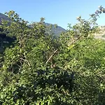Hamsikoey Garden