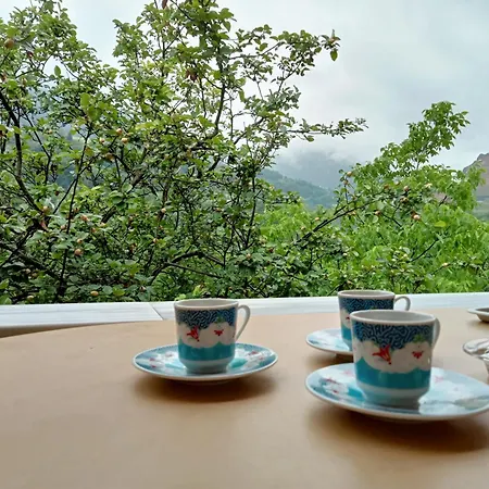 Hamsikoey Garden דירה טראבזון