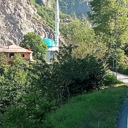 Hamsikoey Garden *