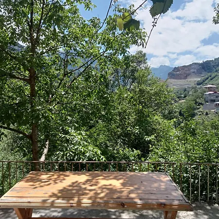 Διαμέρισμα Hamsikoey Garden Τραμπζόν