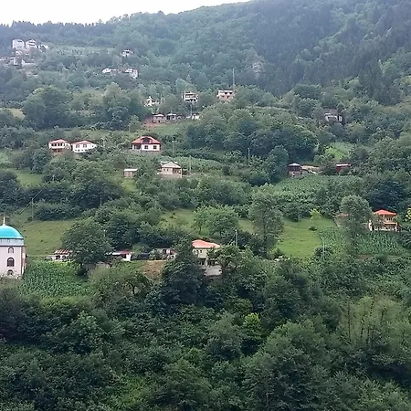 Hamsikoey Garden *