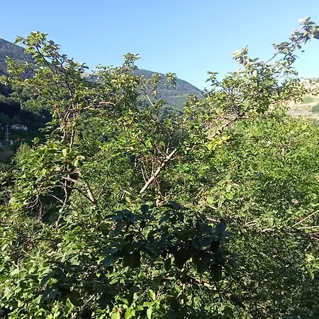 Hamsiköy Garden