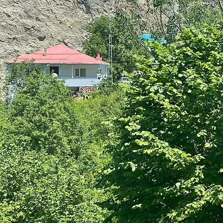 Hamsikoey Garden شقة *