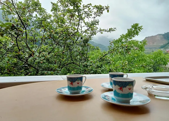 Hamsikoey Garden Appartamento Trabzon