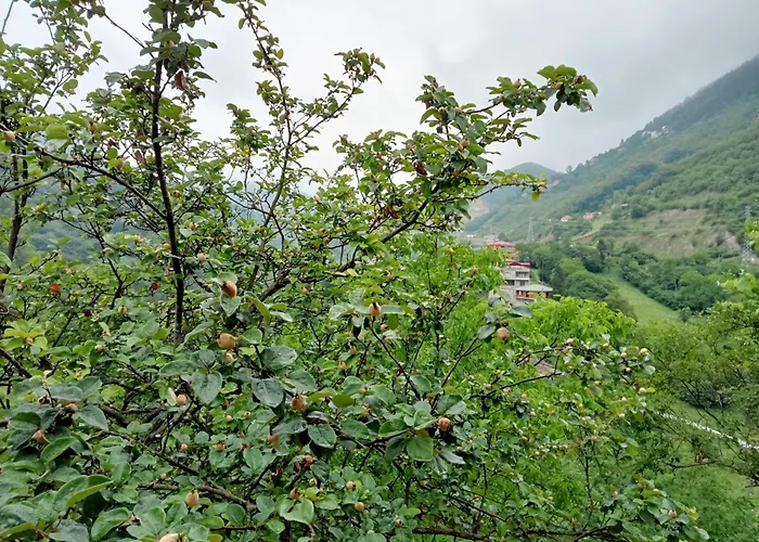 Appartamento Hamsikoey Garden *